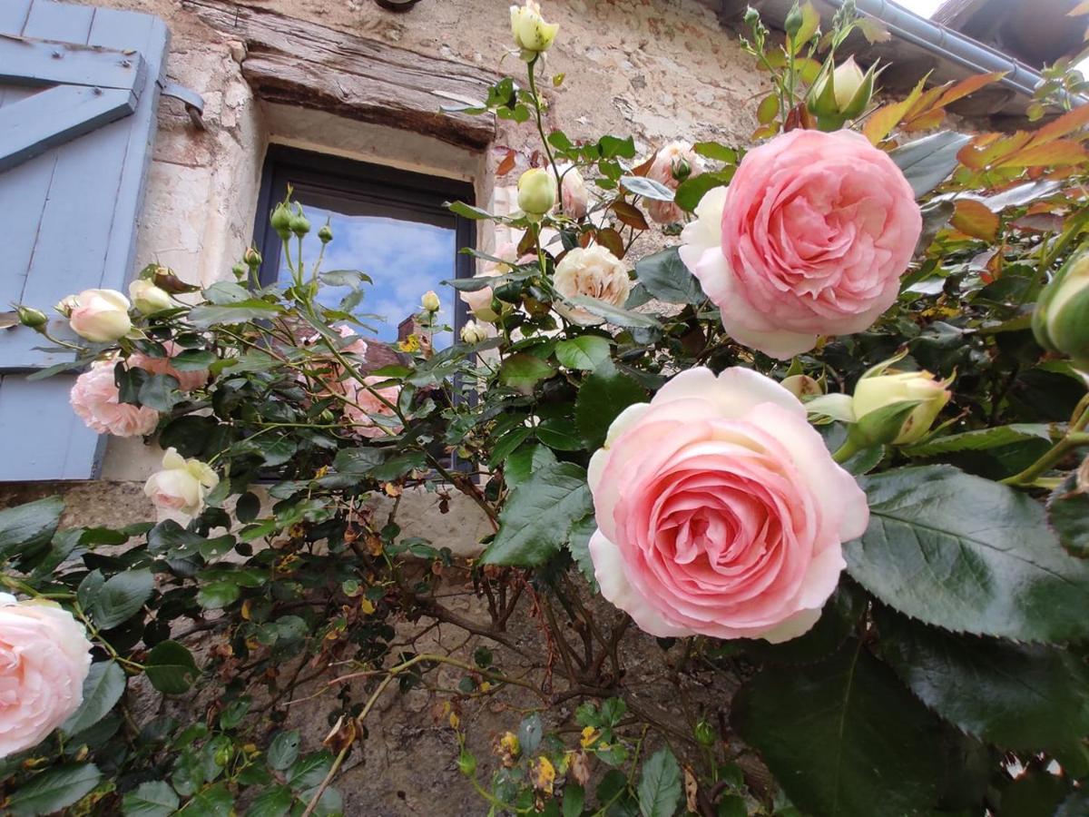 Вилла Au Jardin De La Marquetterie Cigogne Экстерьер фото